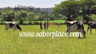 Visita y entrevista a una granja ecológica gallega Casa Grande Xanceda